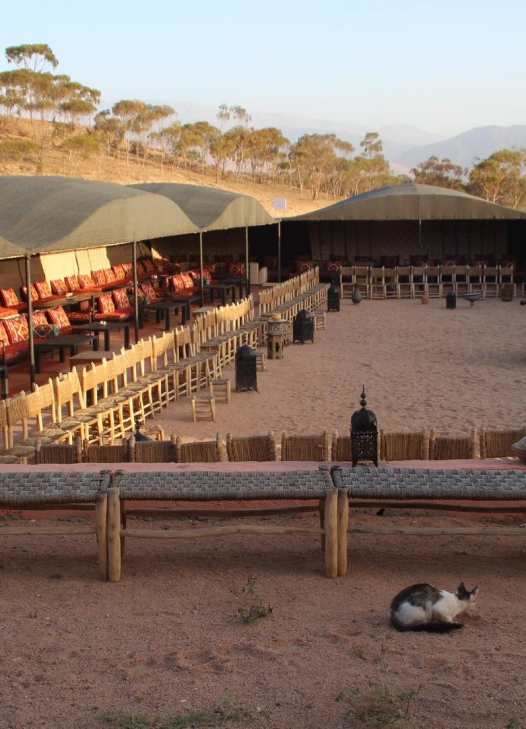 WhatsApp-Image-2025-09-18-at-14.16.49_2539da6a-scaled (2)